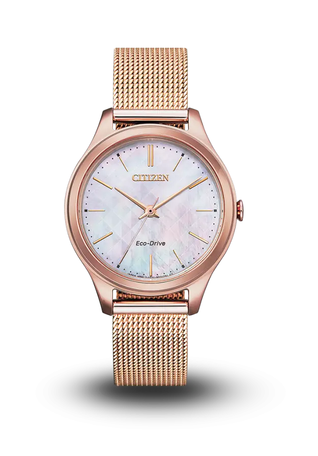 Citizen | Eco-Drive | Standard | EM0508-80Y image