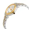 SEIKO - CONCEPTUAL -  - SUR498P1 şəkil