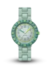 FLIK-FLAK - FLIK FLAK TIME TO DISCOVER - GREENOLOGY - ZFCSP129  şəkil