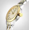 TISSOT - T-CLASSIC - CLASSIC DREAM - T1292102226300  şəkil