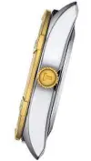 TISSOT - T-CLASSIC - PR 100 SPORT CHIC - T1019102211100  şəkil