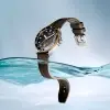 TISSOT - T-SPORT - SEASTAR 1000 40mm - T1204102705100 şəkil