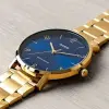 Casio | General | Standard | LTP-VT01G-2BUDF изображение