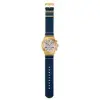 Swatch | Irony | Essentials | YVG419 şəkil