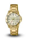 CASIO GENERAL - STANDARD ANALOG - STANDARD ANALOG - MTP-VD01G-9EVUDF şəkil