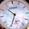 CITIZEN - AQ MID - QUARTZ STANDARD - EQ9063-04D  şəkil