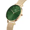 Daniel Wellington | Petite | Emerald | DW00100479 şəkil