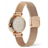 Daniel Wellington | Petite | Moonphase | DW00100773 şəkil