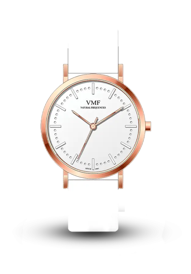VMF - ŞƏHƏR - V3144/4PC0/2M0/80 şəkil