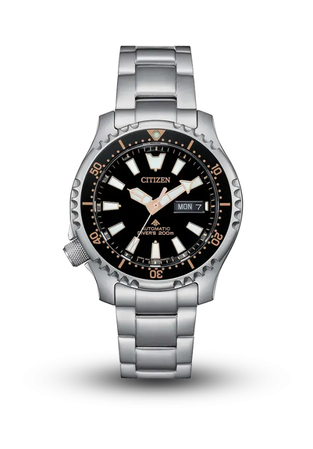Citizen | Promaster | Marine | NY0160-66E şəkil