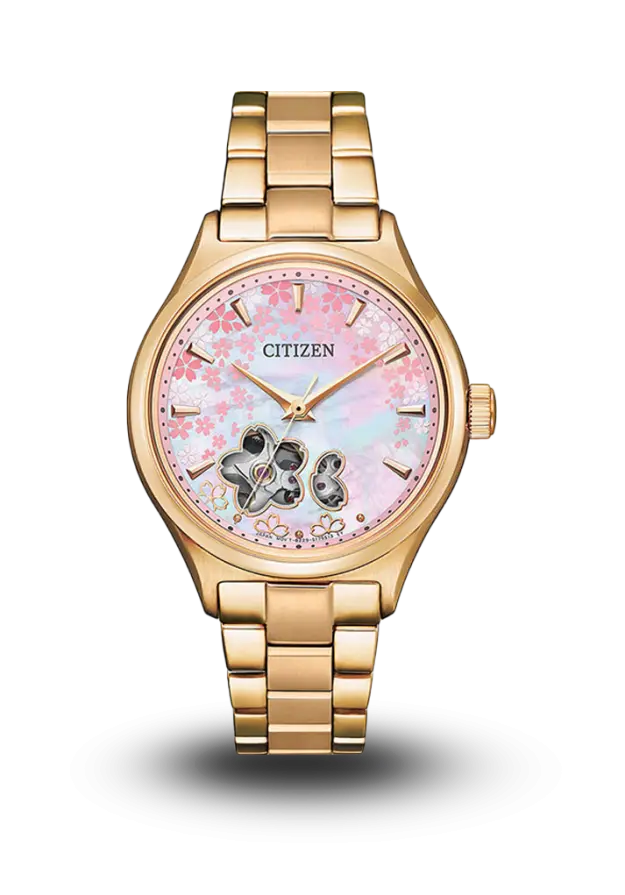 CITIZEN - MECHANICAL - MECHANICAL STANDARD - PC1019-66Y  şəkil