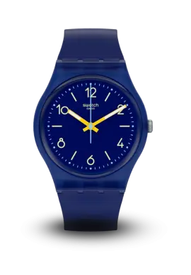 Swatch | Originals | June | SO28N108