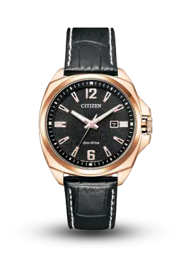CITIZEN - ECO-DRIVE - STANDARD - AW1723-02E 