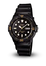 CASIO GENERAL - STANDARD ANALOG - - MRW-200H-1EVDF CASIO GENERAL - STANDARD ANALOG - - MRW-200H-1EVDF