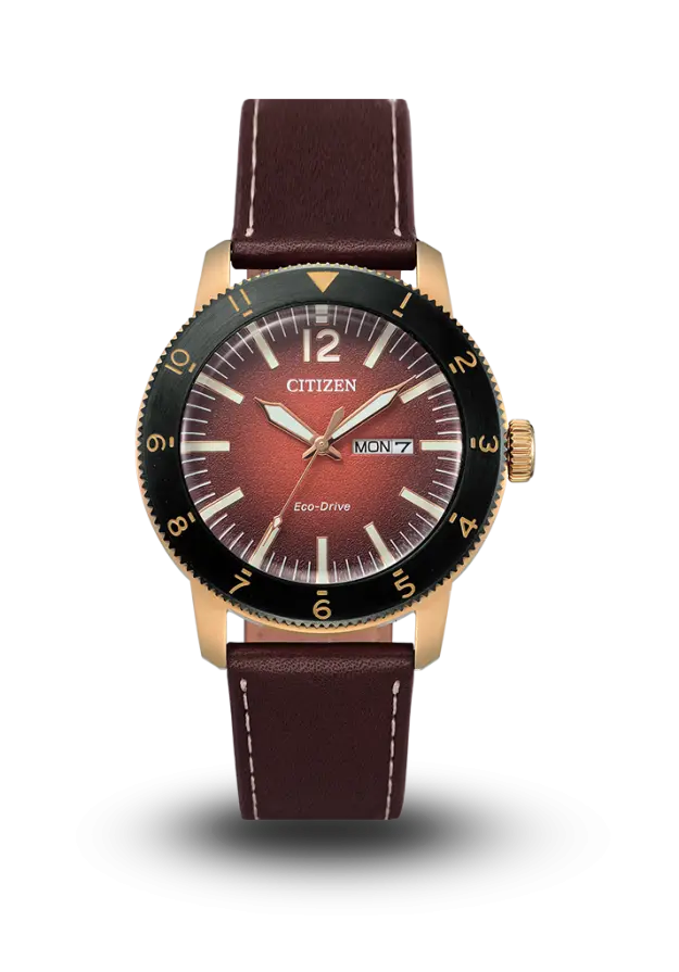CITIZEN - ECO-DRIVE - STANDARD - AW0079-13X şəkil