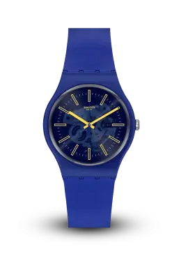 Swatch | Originals | Monthly Drops | SO29N101