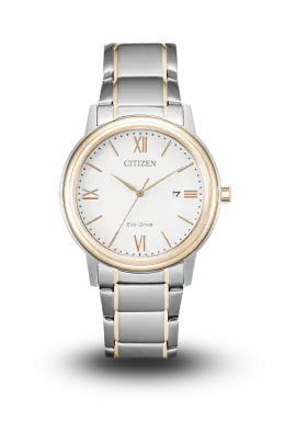 CITIZEN - ECO-DRIVE - STANDARD - AW1676-86A