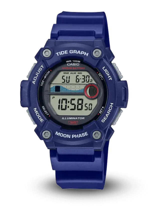CASIO GENERAL - STANDARD DIGITAL - STANDARD DIGITAL - WS-1300H-2AVDF şəkil