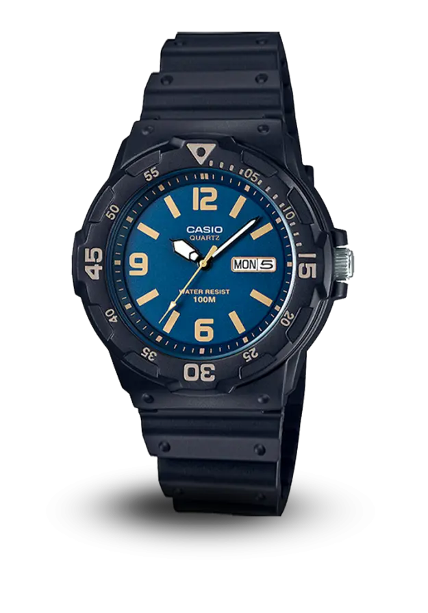 CASIO GENERAL - STANDARD ANALOG -  - MRW-200H-2B3VDF şəkil