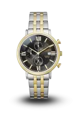 CITIZEN - AQ - QUARTZ CHRONOGRAPH - AN3616-75E CITIZEN - AQ - QUARTZ CHRONOGRAPH - AN3616-75E