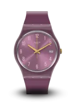 SWATCH - ORIGINALS - GENT STAR MOM - GV403