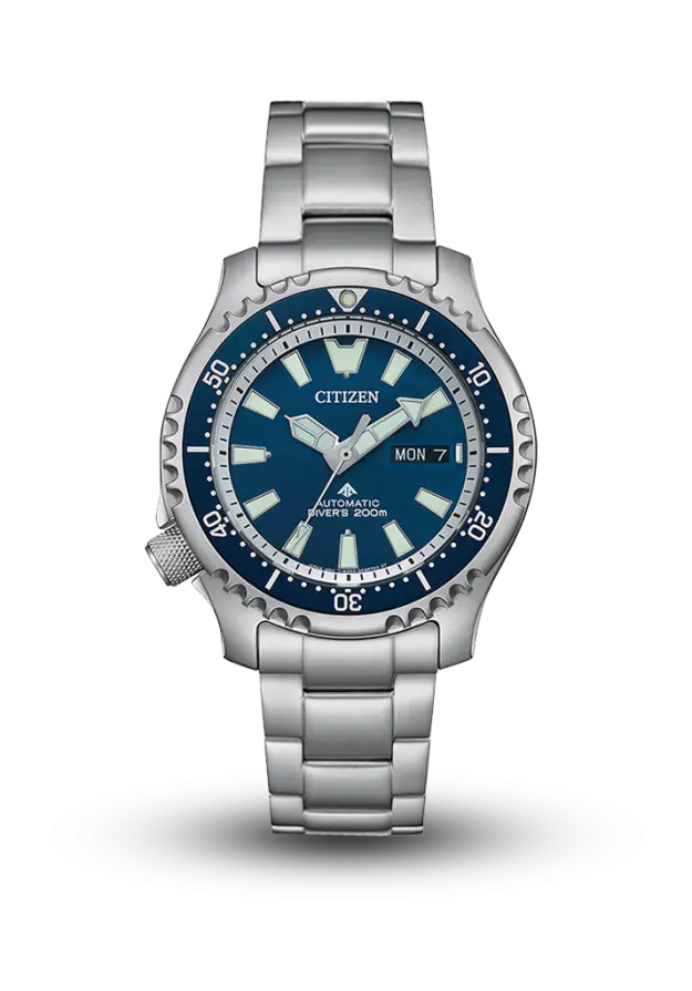 Citizen | Promaster | Marine | NY0161-63L şəkil
