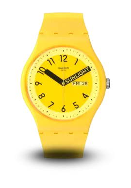 Swatch | Originals | Pride | SO29J702