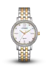 CITIZEN - AQ MID - QUARTZ - EL3106-59D şəkil