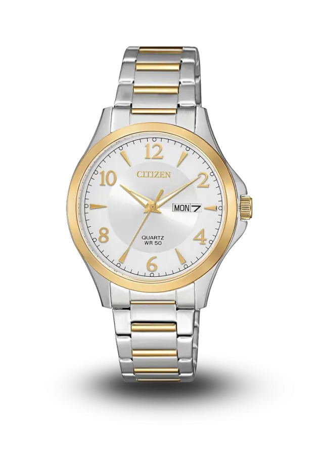 CITIZEN - AQ MID - QUARTZ STANDARD - BF2005-54A  şəkil