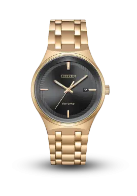 Citizen | Eco-Drive | Gent | BM7653-50E