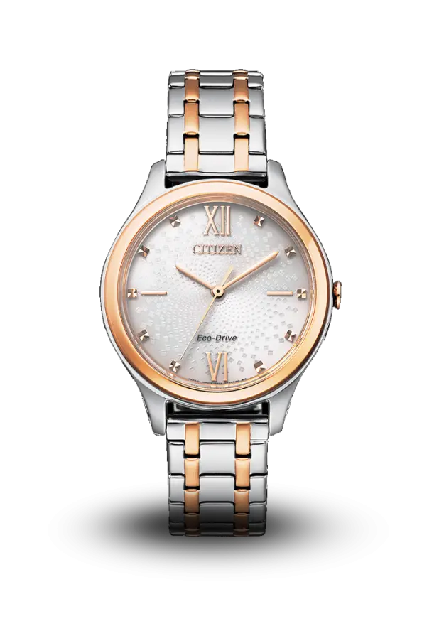 CITIZEN - ECO-DRIVE - STANDARD - EM0506-77A şəkil