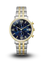 CITIZEN - AQ - QUARTZ CHRONOGRAPH - AN3616-75L CITIZEN - AQ - QUARTZ CHRONOGRAPH - AN3616-75L