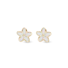 VMF MINA - - VMSD/671-G02 VMF MINA - - VMSD/671-G02