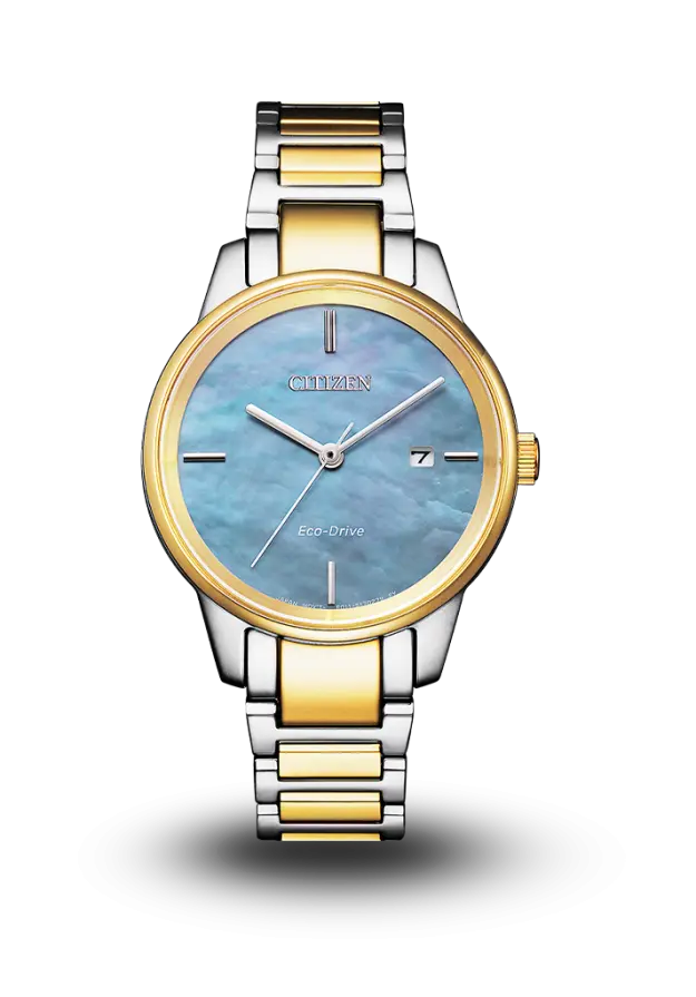 CITIZEN - ECO-DRIVE - STANDARD - EW2594-84Y şəkil