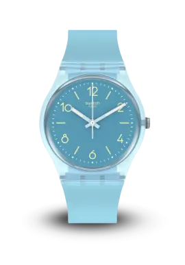 Swatch | Originals | Sleeve | SO28S101