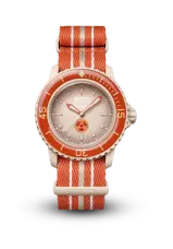 Swatch | Scuba 50 | Arctic Ocean | SO35N100