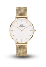 Daniel Wellington | Petite | Evergold | DW00100348