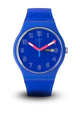 SWATCH - ORIGINALS - JANUARY - SO29N705