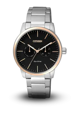 CITIZEN - ECO-DRIVE - MULTI HANDS - AO9044-51E 