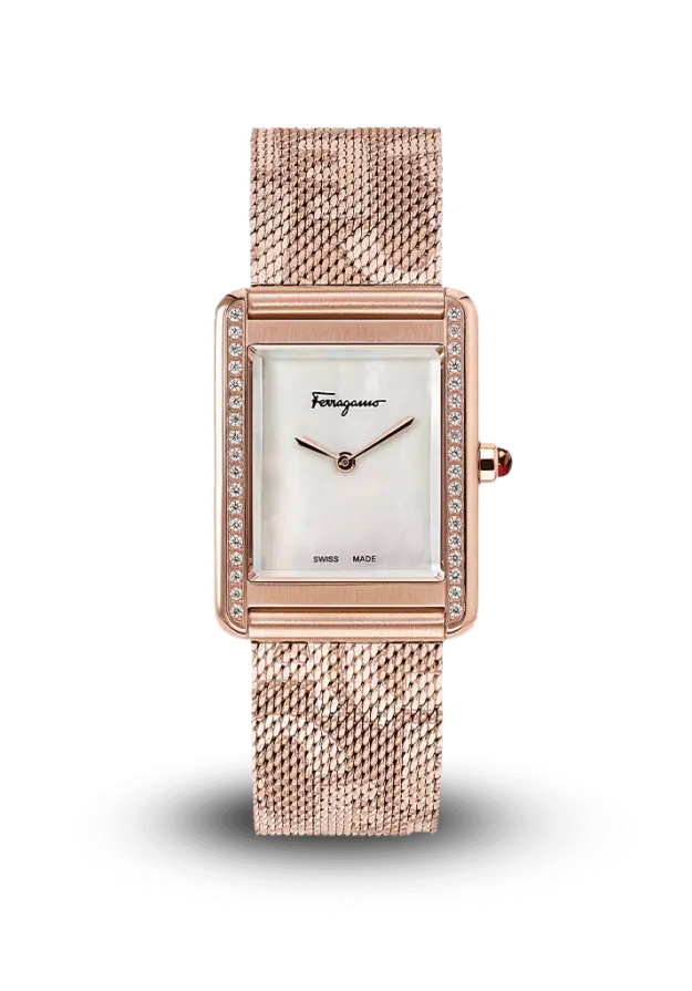FERRAGAMO - PORTRAIT - LADY STRAP QUARTZ - SFDS00619  şəkil