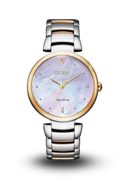 CITIZEN - ECO-DRIVE - CITIZEN L - EM0854-89Y