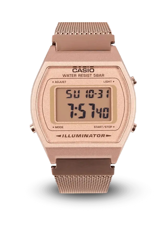 CASIO GENERAL - VINTAGE - VINTAGE - B640WMR-5ADF şəkil
