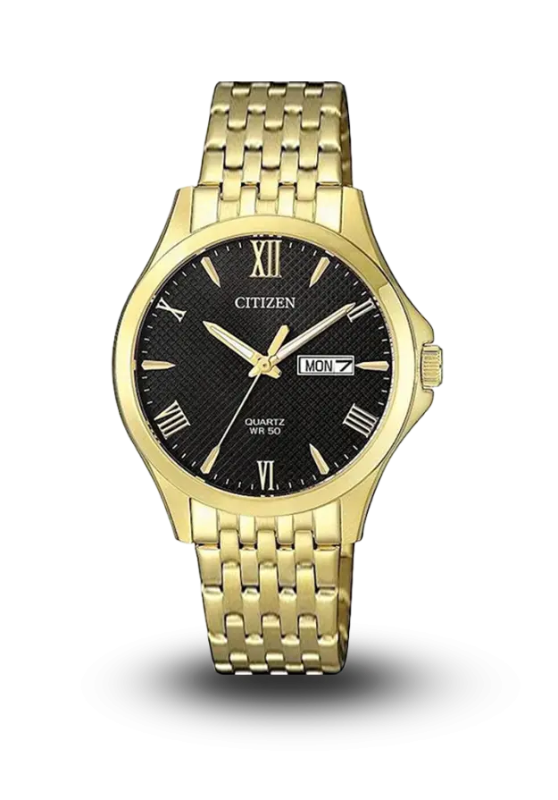 CITIZEN - AQ MID - QUARTZ STANDARD - BF2022-55H  şəkil