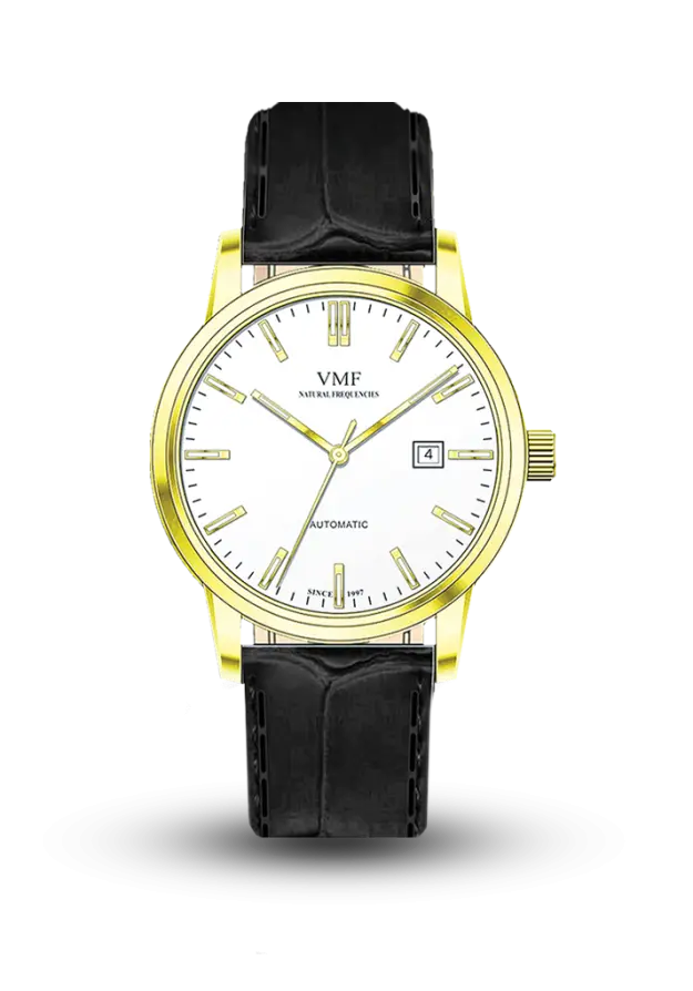 VMF - MIRAS - IRS - V4325/4PS0/2M0/41 şəkil