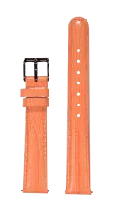 VMF MINA - - VMKCARNATION-21 VMF MINA - - VMKCARNATION-21