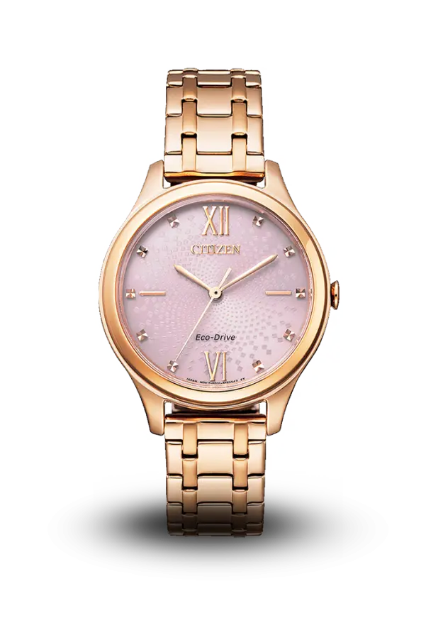 Citizen | Eco-Drive | Standard | EM0503-75X image