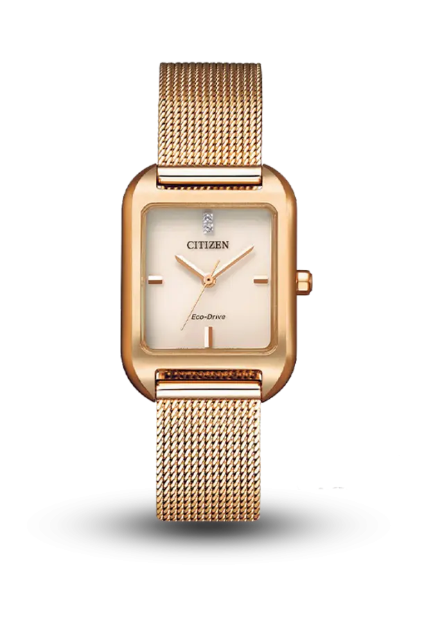 CITIZEN - ECO-DRIVE - STANDARD - EM0493-85P  şəkil