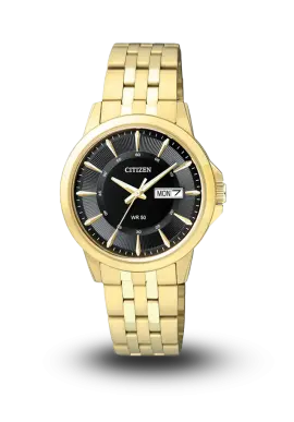 CITIZEN - AQ MID - QUARTZ STANDARD - BF2013-56E 