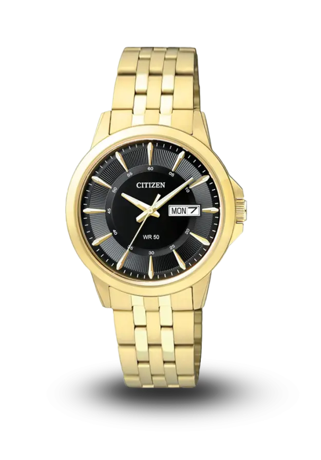 CITIZEN - AQ MID - QUARTZ STANDARD - BF2013-56E  şəkil