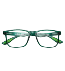 Zippo Eyewear | Reading | +1.00 | 31Z-G8-CRV100